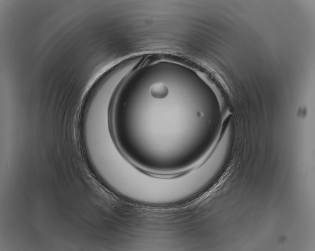 X0000097851069200803281243