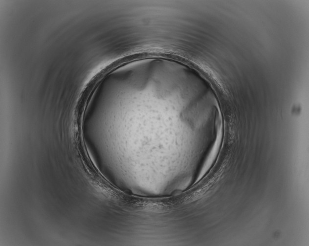 X0000097851070200803281243