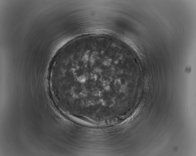 X0000097851071200803281243