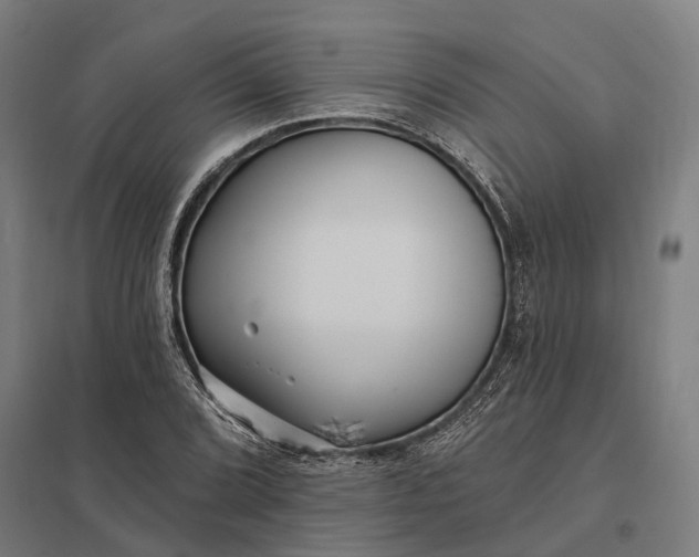 X0000097851072200803281243