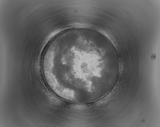 X0000097851074200803281243