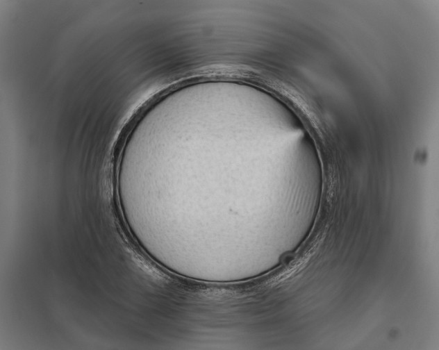 X0000097851075200803281243