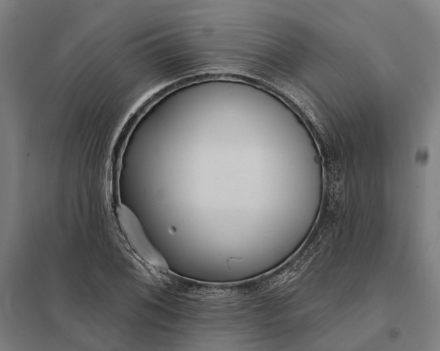 X0000097851076200803281243