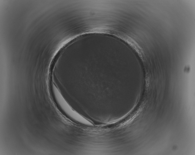 X0000097851077200803281243