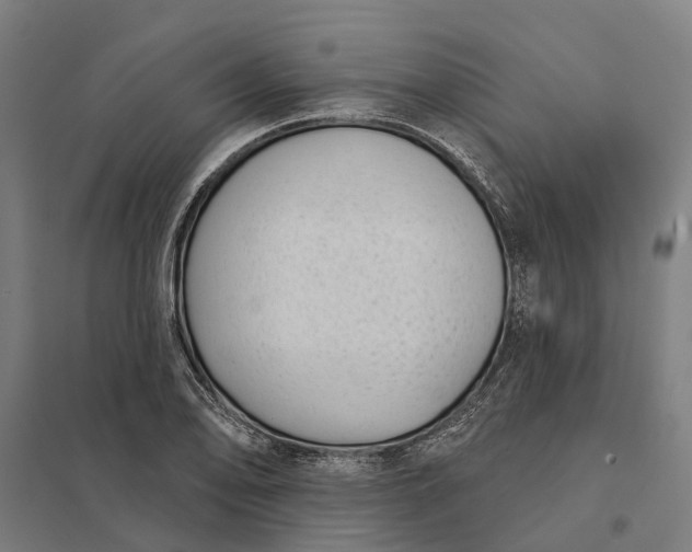 X0000097851078200803281243