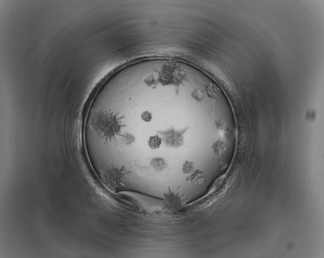 X0000097851079200803281243