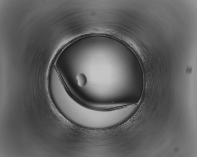 X0000097851080200803281243