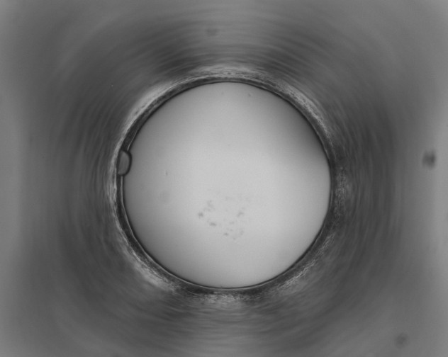 X0000097851082200803281242