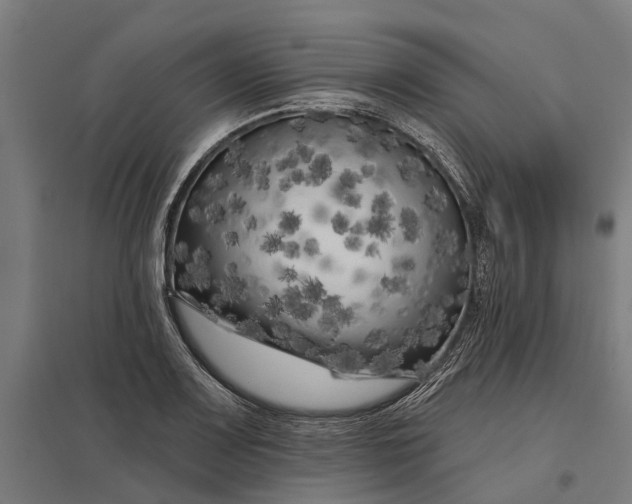 X0000097851083200803281242