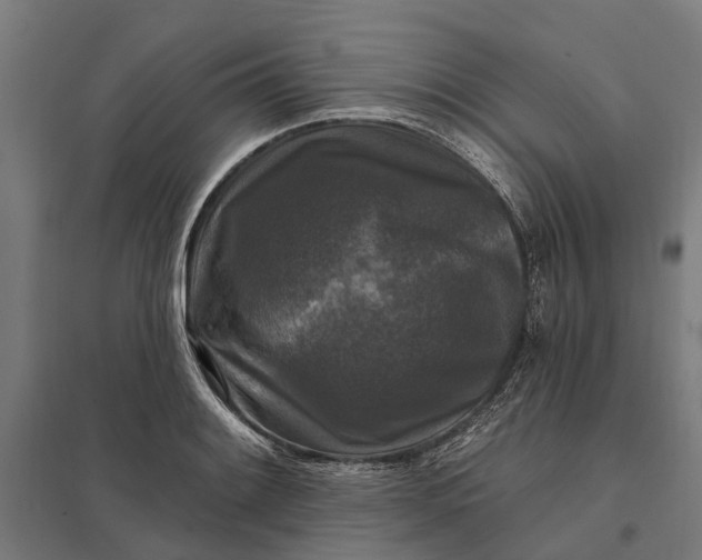 X0000097851084200803281242