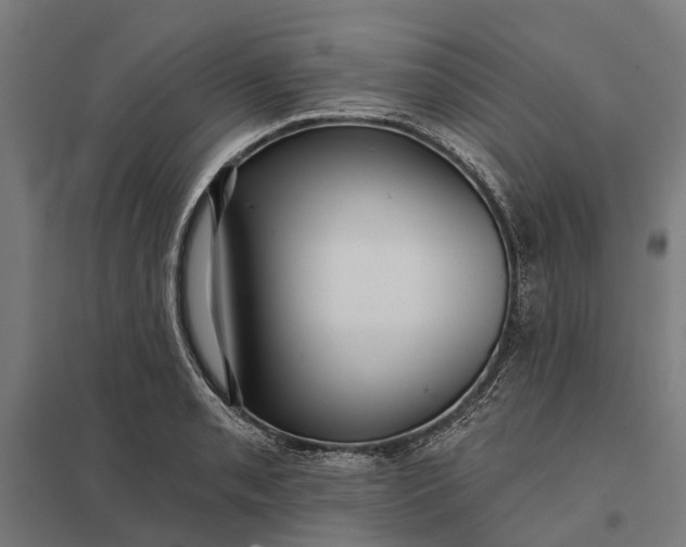 X0000097851085200803281242