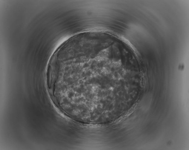 X0000097851087200803281242