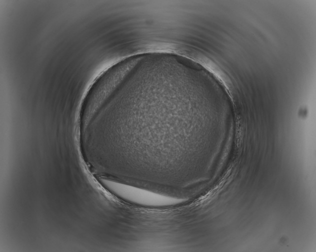 X0000097851088200803281242