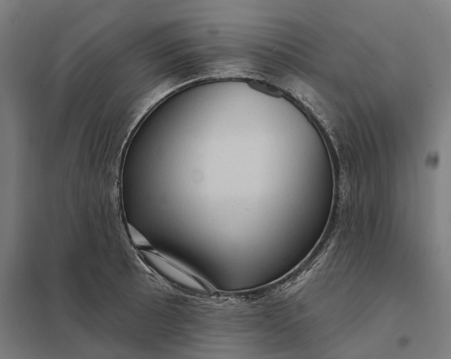 X0000097851089200803281242