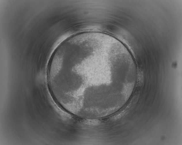 X0000097851090200803281242