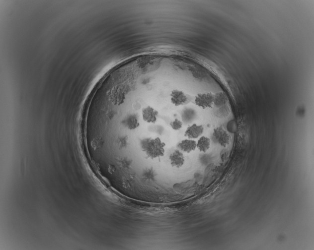 X0000097851091200803281242