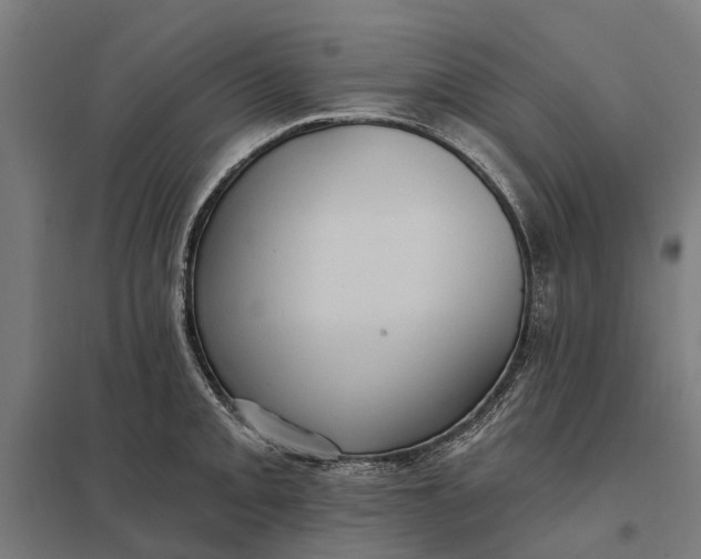 X0000097851093200803281242