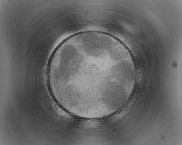 X0000097851094200803281242