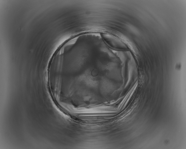 X0000097851095200803281242