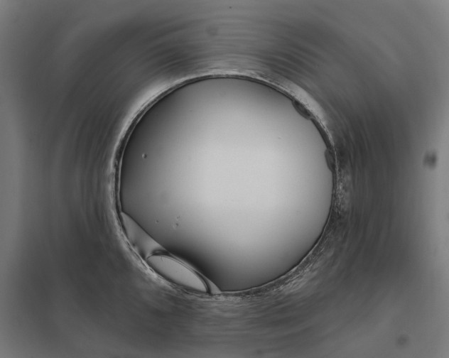 X0000097851096200803281242