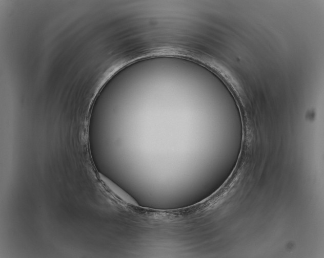 X0000097851097200803281242