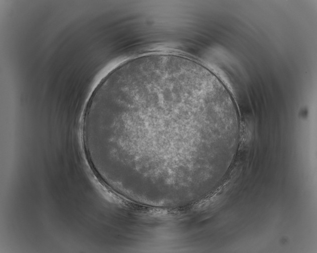 X0000097851098200803281242