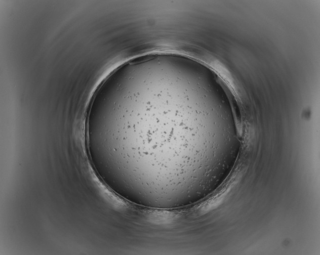 X0000097851100200803281242