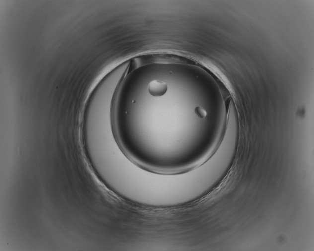 X0000097851101200803281242