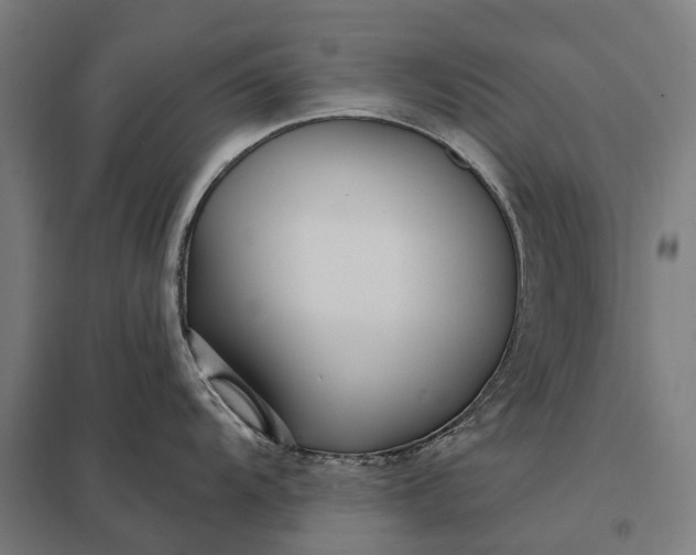 X0000097851104200803281242