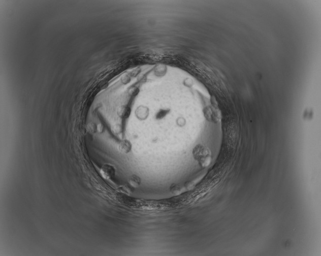 X0000097851105200803281241