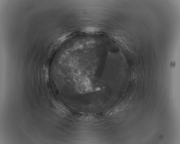 X0000097851106200803281241