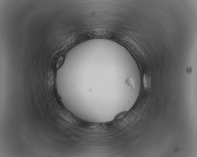 X0000097851107200803281241