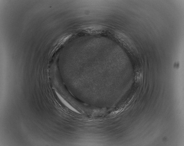 X0000097851108200803281241