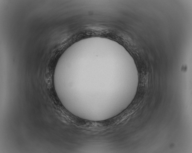 X0000097851109200803281241