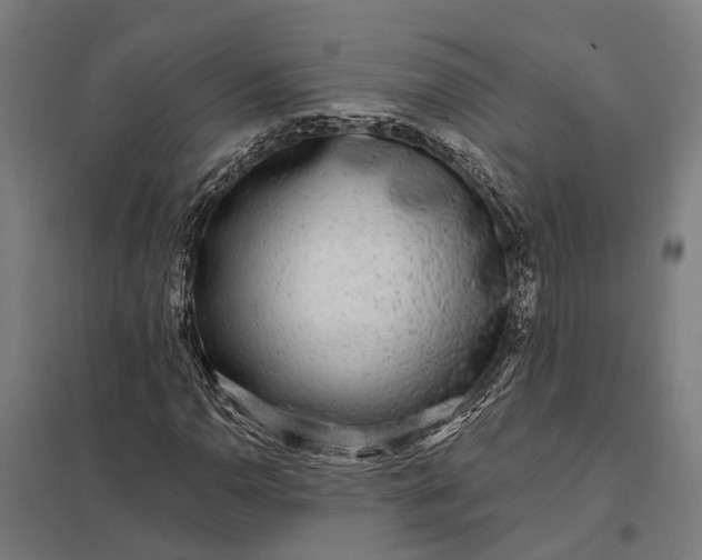 X0000097851110200803281241