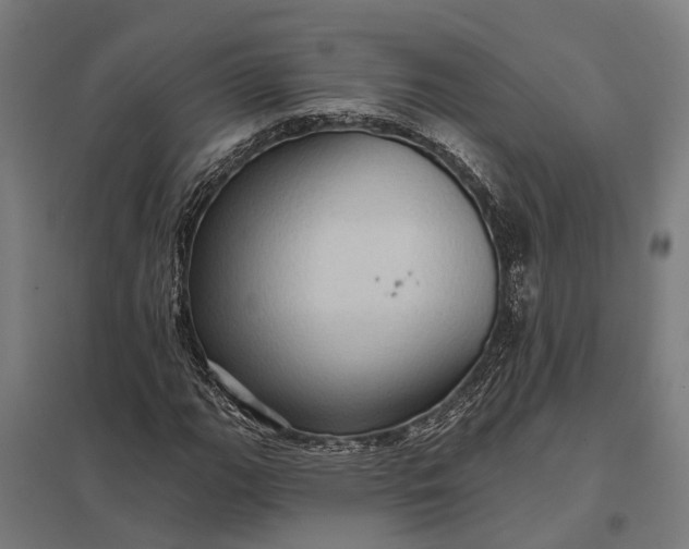 X0000097851111200803281241