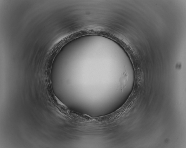 X0000097851112200803281241