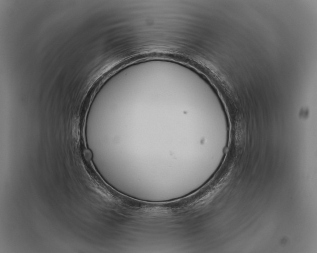 X0000097851113200803281241