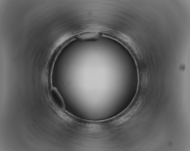 X0000097851114200803281241