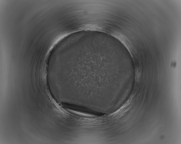 X0000097851115200803281241