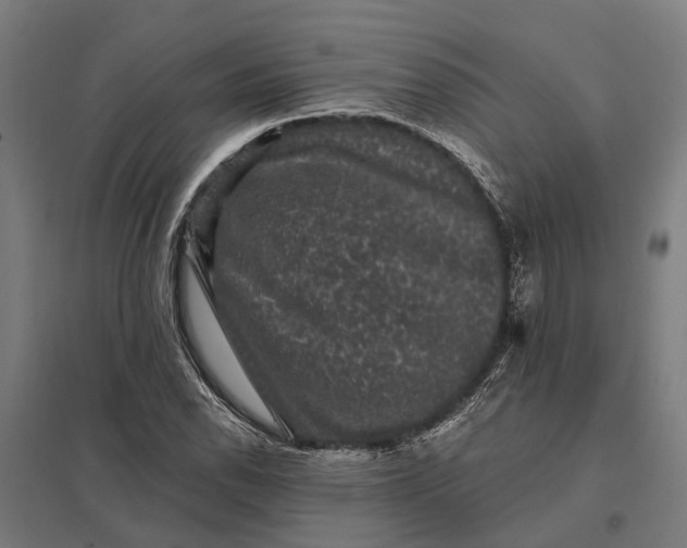 X0000097851118200803281242