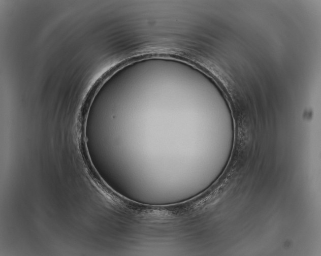 X0000097851119200803281242