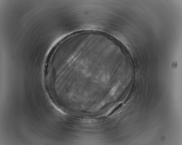 X0000097851120200803281242