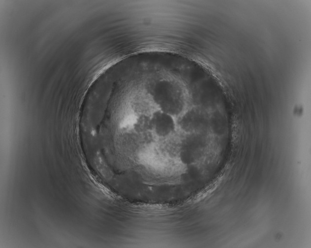 X0000097851121200803281242