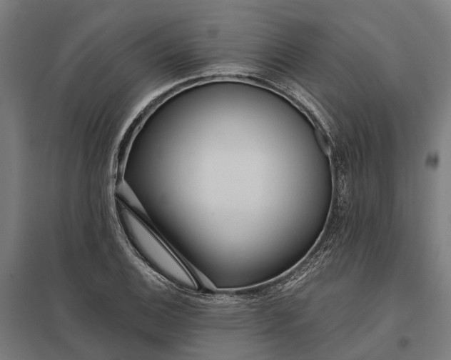 X0000097851124200803281242