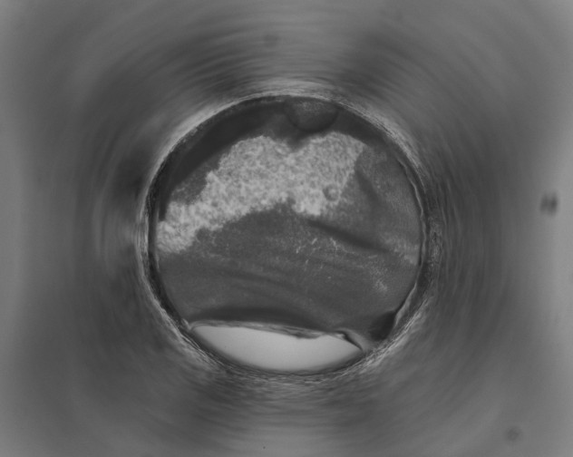 X0000097851125200803281242