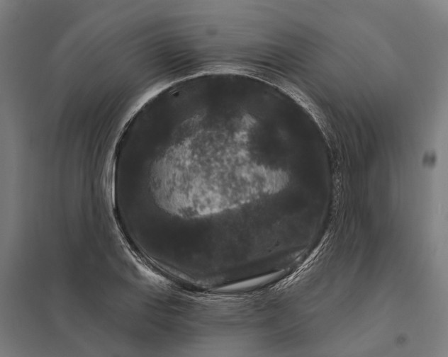 X0000097851127200803281242