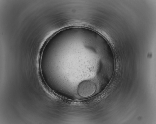 X0000097851128200803281242