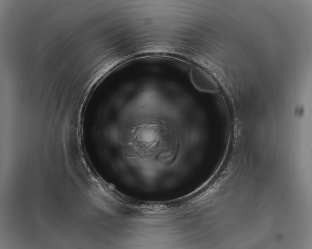 X0000097851129200803281242