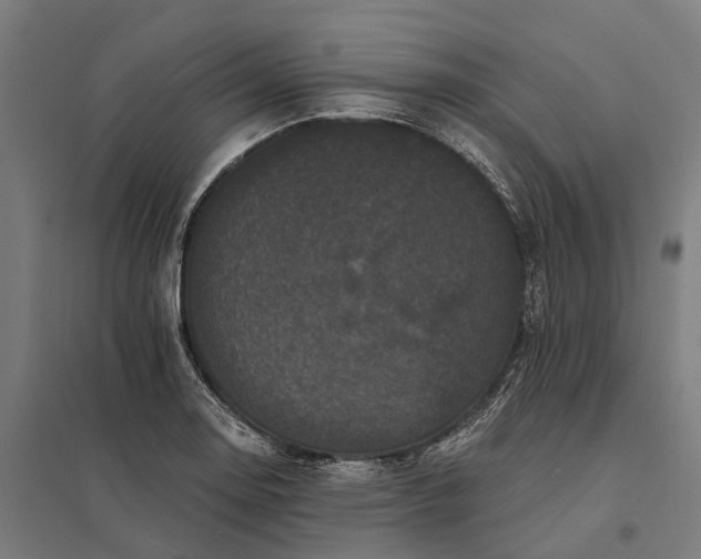 X0000097851130200803281242